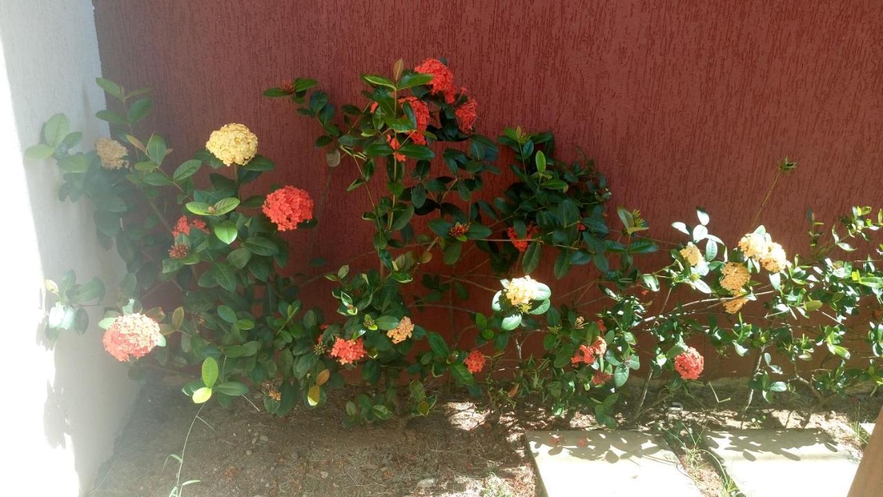 בום ז'זוס דוס פרדוס Linda Casa De Campo - Proximo A Sp - Wi-Fi Gratis מראה חיצוני תמונה